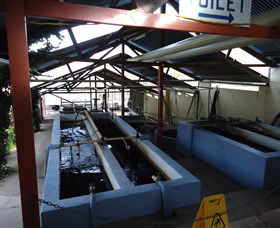 Eucumbene Trout Farm - Travel Agents 5