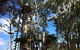 Trees Adventure Grose River Park - thumb 1