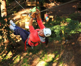 Trees Adventure Grose River Park - Cruises Travel 0