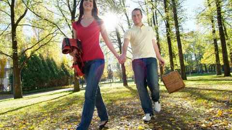 Glebe Park - Tourism Guide 2