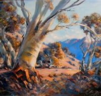 Kunama Snowy Mountains Centre for the Arts - Travel Agents