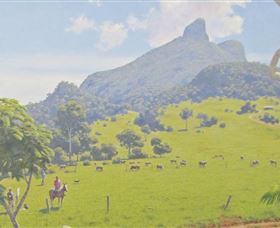 Aitkens Australia In The Round - Tourism Guide 2