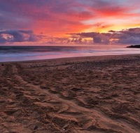 Mon Repos Beach - Tourism Guide
