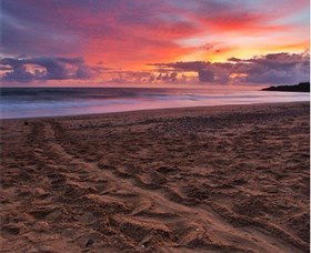 Mon Repos Beach - Tourism Guide 0