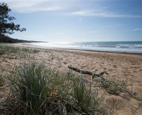 Mon Repos Beach - Tourism Guide 2