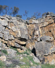 Badgingarra Nature Trail - Tourism Guide 0