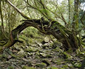 Iguana Creek VIC Tourism Guide
