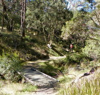 Wollomombi walking track - Travel Agents