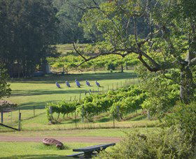 Wollombi Wines - Tourism Guide 8
