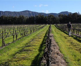 Around Hermitage Wine And Food Trail Hunter Valley - Travel Agents 1