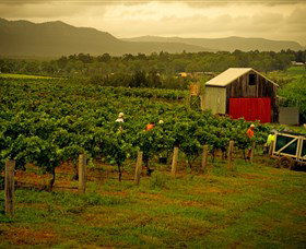 Around Hermitage Wine And Food Trail Hunter Valley - Travel Agents 0