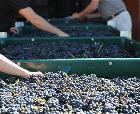 Around Hermitage Wine And Food Trail Hunter Valley - Travel Agents 6