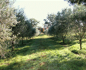 Langdale Farm - Tourism Guide 0