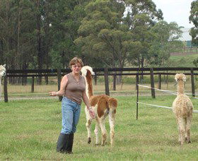 Langdale Farm - Tourism Guide 4