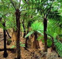 Pegarah Private Nature Reserve  Parenna Place - Tourism Guide