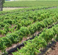 Pokolbin Brothers Wines Hunter Valley - Tourism Guide