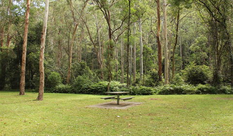 Mill Creek Picnic Area - Tourism Guide 1