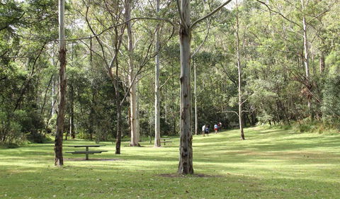 Mill Creek Picnic Area - Tourism Guide 3