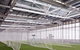 Blacktown International Sportspark - thumb 1