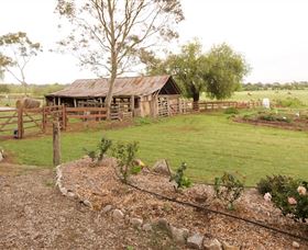Camden Town Farm - Tourism Guide 0
