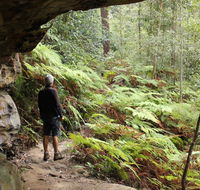 Dharug National Park - Tourism Guide