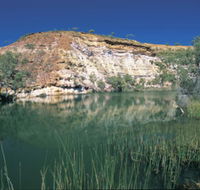 Ellendale Pool - Tourism Guide