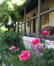 Raglan Gallery And Cultural Centre - Tourism Guide 2