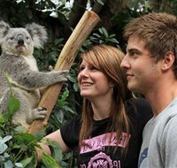 Featherdale Wildlife Park - Tourism Guide