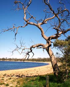 Lake Indoon - Tourism Guide 0