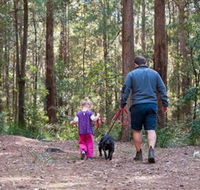 Olney State Forest - Watagan Mountains - Tourism Guide