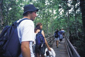 Bellthorpe National Park - Cruises Travel 0