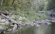 Bellthorpe National Park - thumb 1
