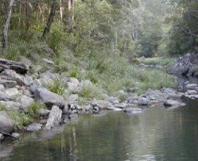 Bellthorpe National Park - Cruises Travel 1