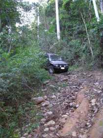 Bellthorpe National Park - Cruises Travel 3