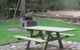 Bellthorpe National Park - thumb 2
