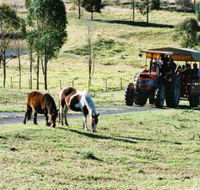 Calmsley Hill City Farm - Tourism Guide