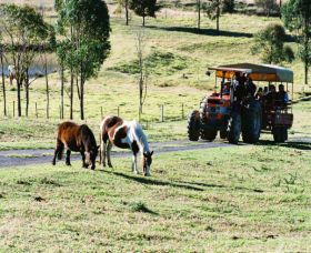 Calmsley Hill City Farm - Tourism Guide 0