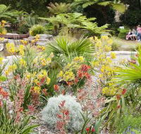 The Australian Botanic Garden Mount Annan - Tourism Guide