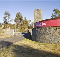 Lizard Log - Tourism Guide