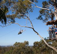 TreeTop Safari - Tourism Guide