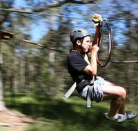 TreeTop Adventure Park Sydney - Tourism Guide