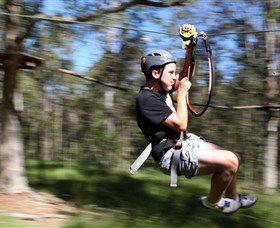 TreeTop Adventure Park Sydney - Tourism Guide 0