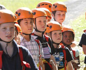 TreeTop Adventure Park Sydney - Tourism Guide 2