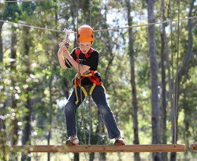 TreeTop Adventure Park Sydney - Tourism Guide 1