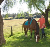 Sugarloaf Horse Centre - Tourism Guide