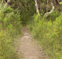 Three Views walking track - Tourism Guide