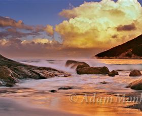 Monk Art Photography And Gallery - Travel Agents 2