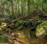 Palm Grove Nature Reserve - Tourism Guide