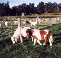 Trudgalong Farm - Travel Search