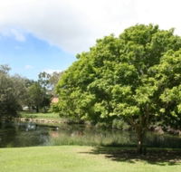 Hervey Bay Botanic Gardens - Cruises Travel